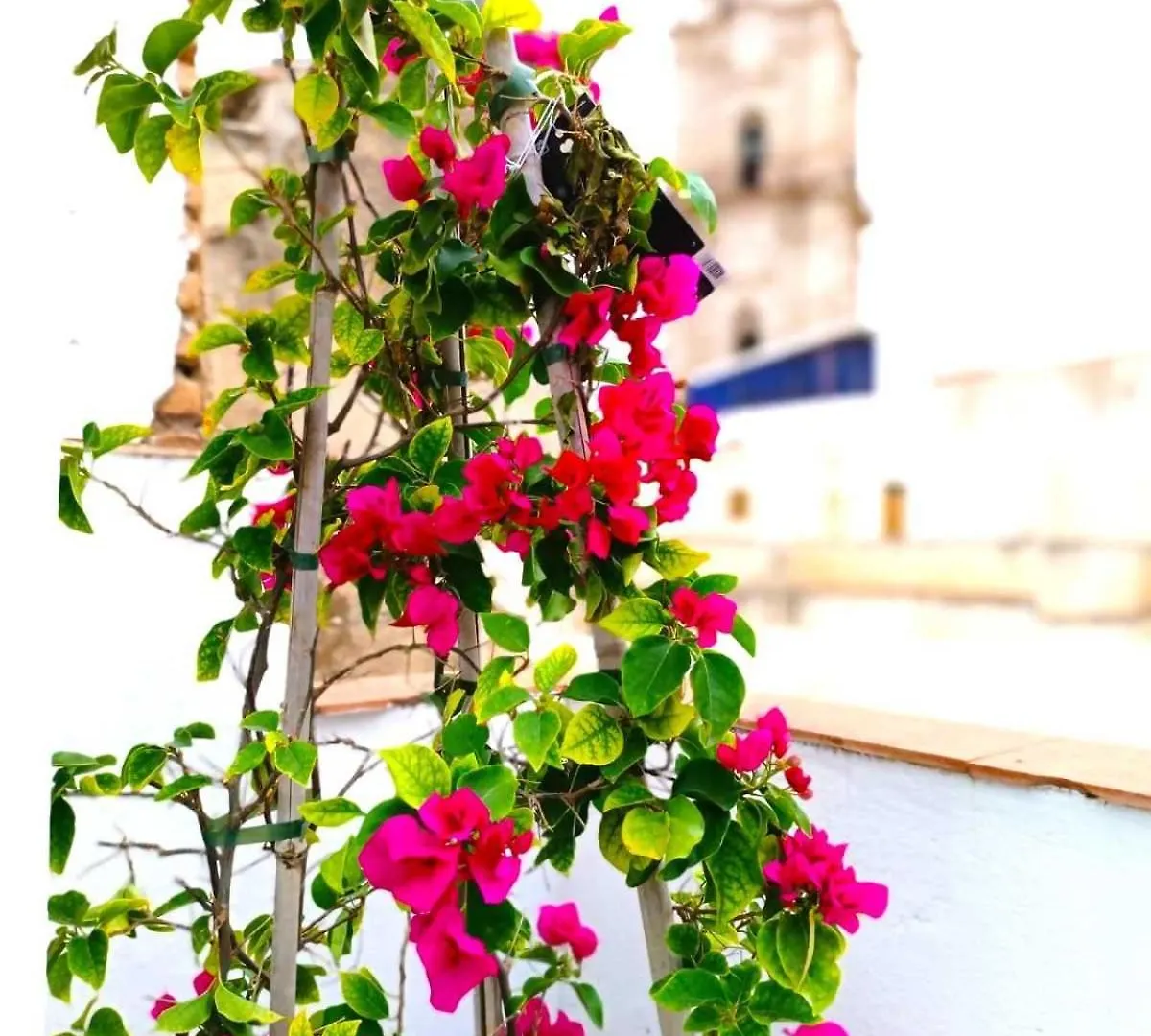 Apartamentos Larios Malaga